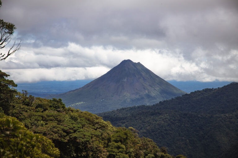 Santa Elena Reserve in Monteverde