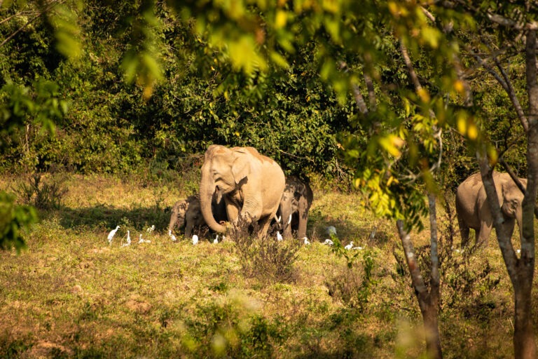 Kui Buri Nationalpark Thailand