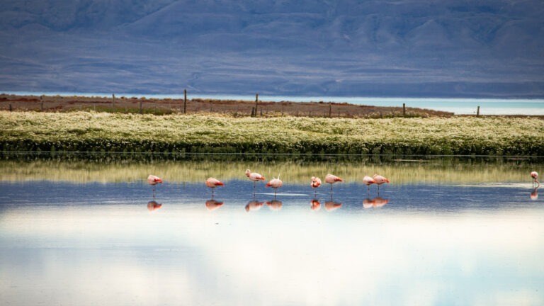 El Calafate in Argentinien