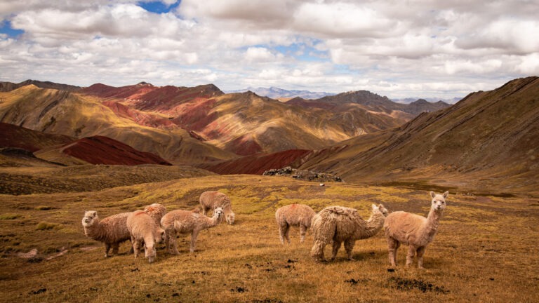 Palccoyo Regenbogenberg in Peru